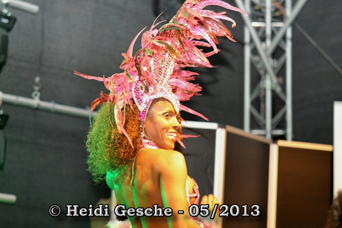 Fiesta Brasil (7).JPG